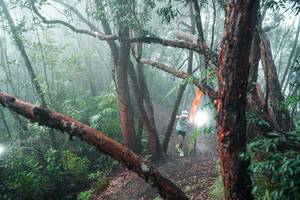 BIB: 
                            <button type="button" onclick="openModal(26343757)" class="btn btn-primary btn-sm float-right btn-popup" data-toggle="modal" data-target=".modal-high-quality">
                        <i class="fas fa-shopping-cart"></i> Add to Cart
                    </button>
                                            <button type="button" onclick="isThisMe(26343757, true)" class="btn btn-success btn-sm float-right btn-popup btn-isme hidden" data-toggle="tooltip" data-placement="bottom" title="นี่คือรูปของคุณใช่ไหม คลิกที่นี่เพื่อเอาเข้าอัลบั้ม">
                        <i class="fas fa-plus"></i> Add to album
                    </button>
                    <button type="button" onclick="isThisMe(26343757, false)" class="btn btn-warning btn-sm float-right btn-popup btn-isnotme hidden">
                        <i class="fas fa-ban"></i> Remove from album
                    </button>